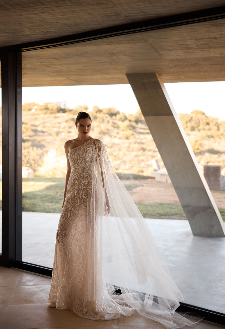 Immagine Vixen IT 2225 - 3