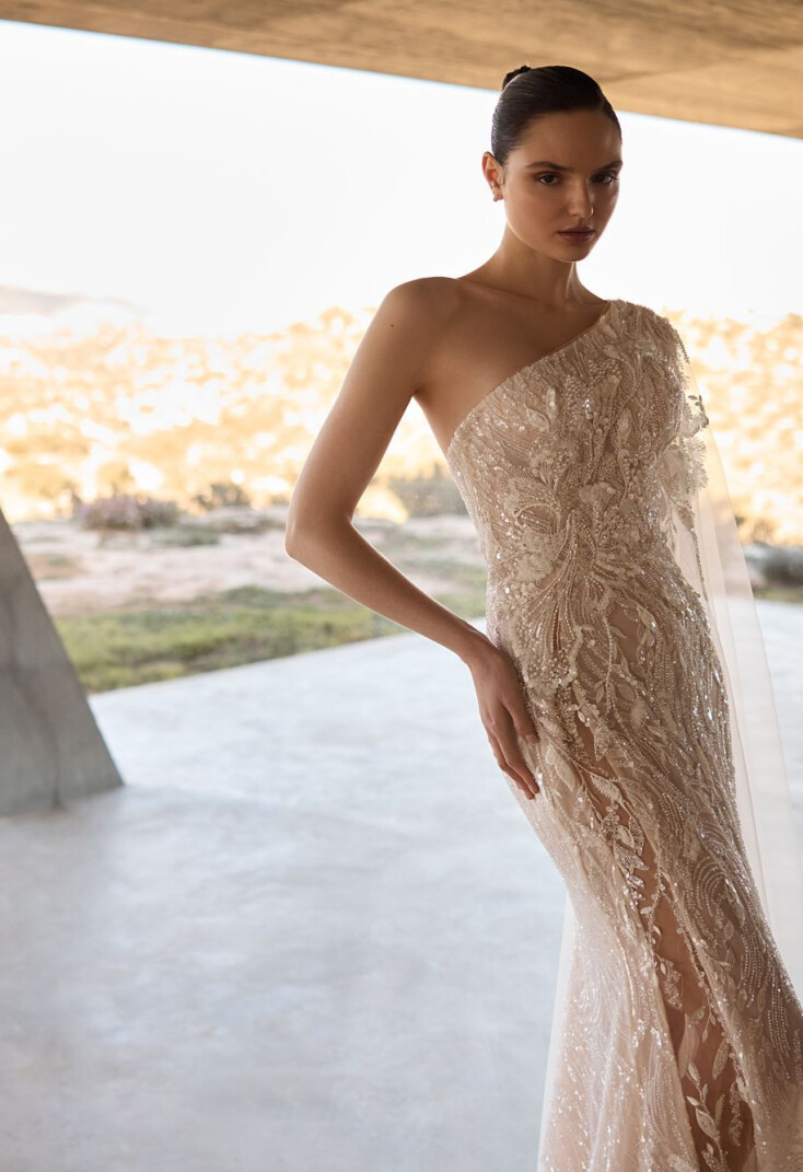 Immagine Vixen  (with sleeve) IT 2257 - 3