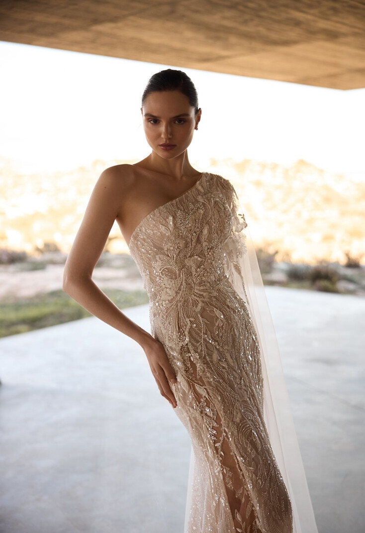 Immagine Vixen  (with sleeve) IT 2257 - 2