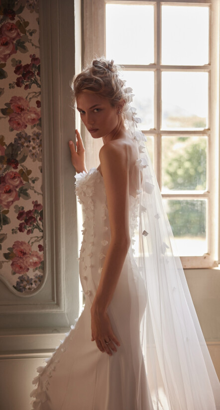 Bild Mimosa DE 2321 - 2