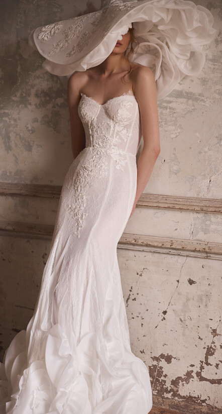 Bild Celosia DE 2324 - 2