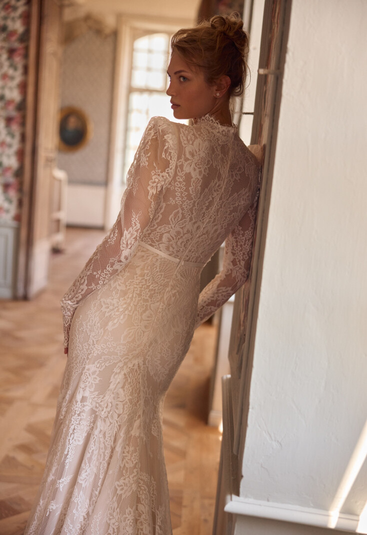 Imagen Anemona ES 2363 - 3