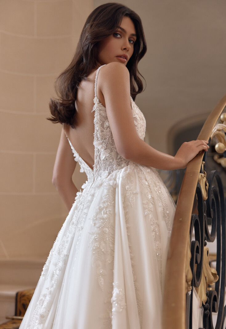 Picture Nova EN 2442 - 3