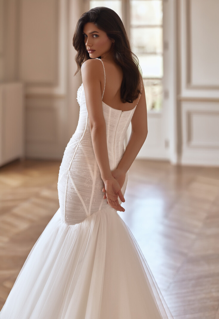 Picture Vivia EN 2460 - 3