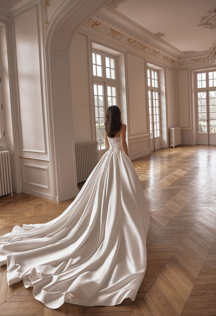 Picture Elisea (train) EN 2466 - 2